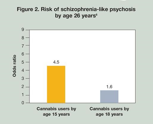 Riziko onemocnění schizofrenií nebo podobnou psychózou do 26 let u uživatelů od 15 let (žlutý sloupec), vs. od 18 let (šedý sloupec)