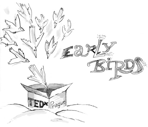 early birds - první kresba