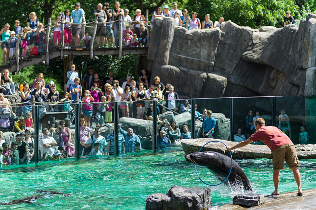 V roce 2016 prošlo branami Zoo Praha 1 448 353 návštěvníků! Foto Petr Hamerník, Zoo Praha