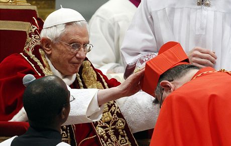 Kardinálem 18. února 2012