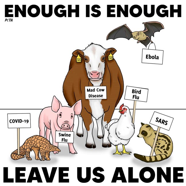 Nechte nás být! COVID-19, Prasečí chřipka, Nemoc šílených kráv, prasečí chřipka, EBOLA, SARS, zdroj: PETA