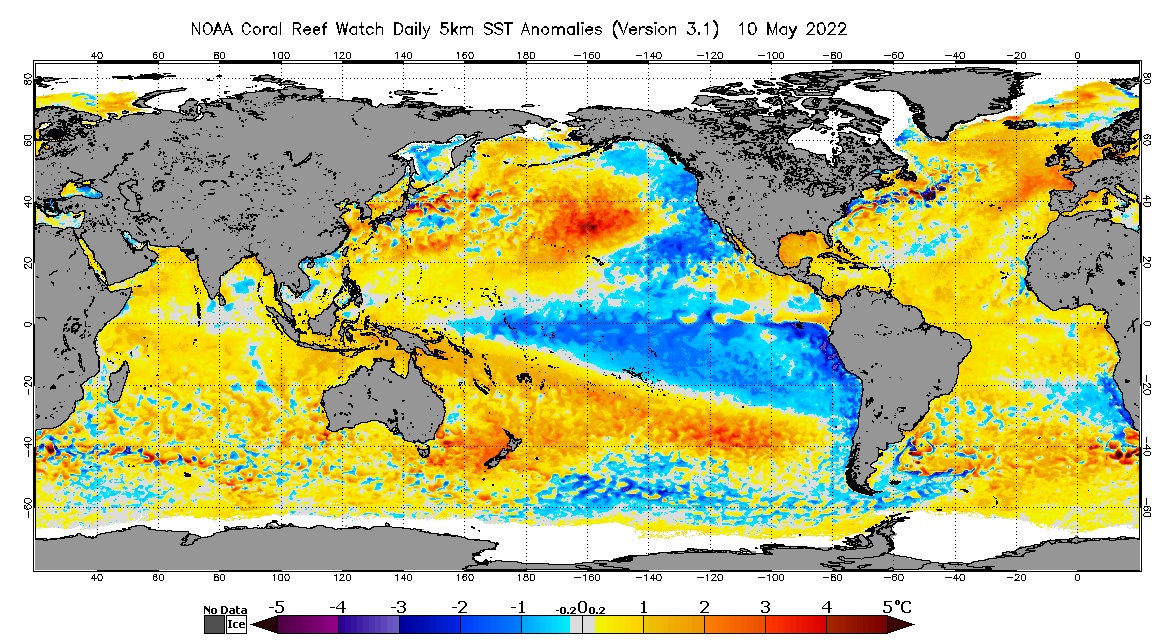 Aktuální teplota povrchových vod oceánů.